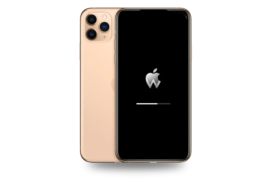 Программный ремонт iPhone 11 Pro Max