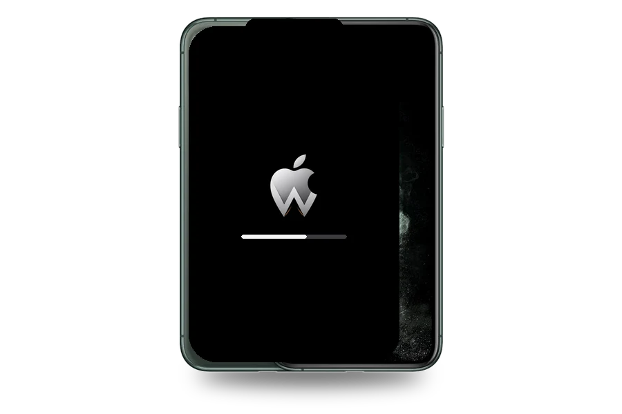 Программный ремонт iPhone 11 Pro