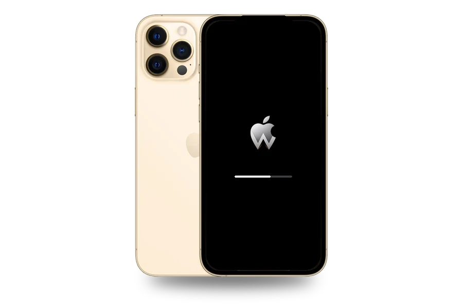 Программный ремонт iPhone 12 Pro Max