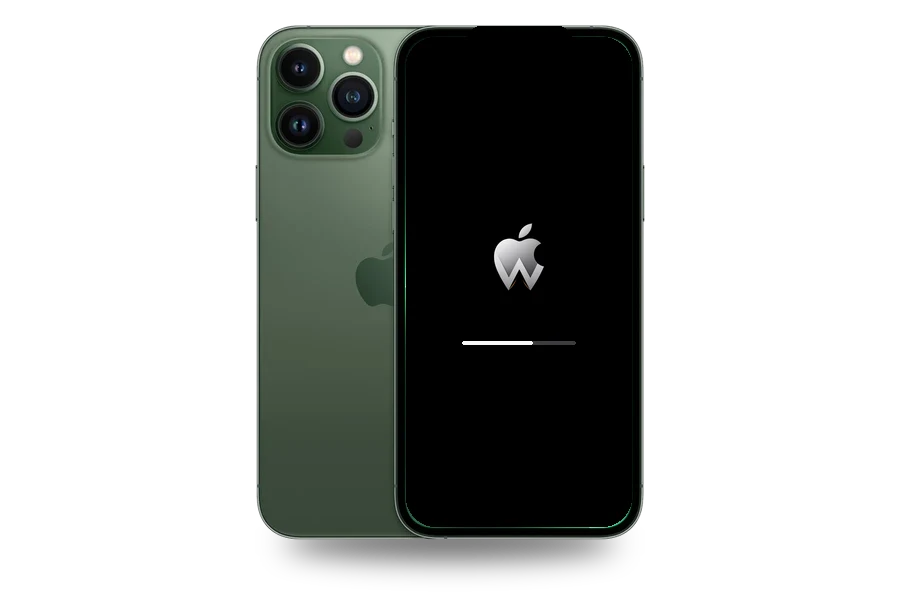 Программный ремонт iPhone 13 Pro Max