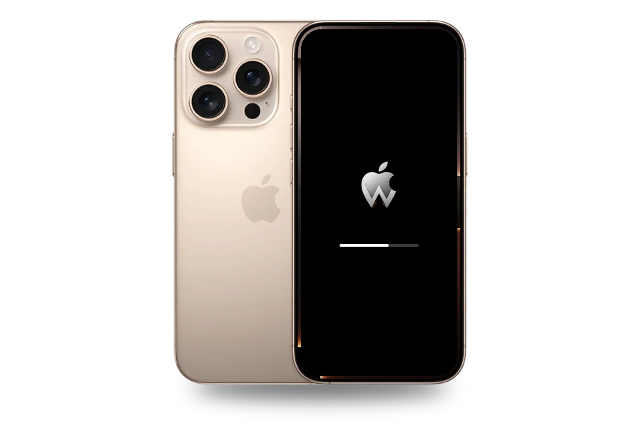 Программный ремонт iPhone 16 Pro
